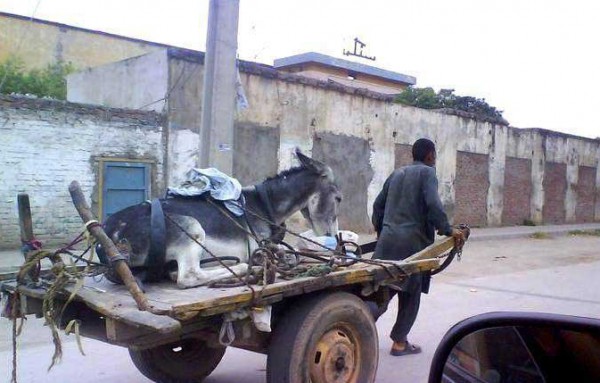 صورة وتعليق
