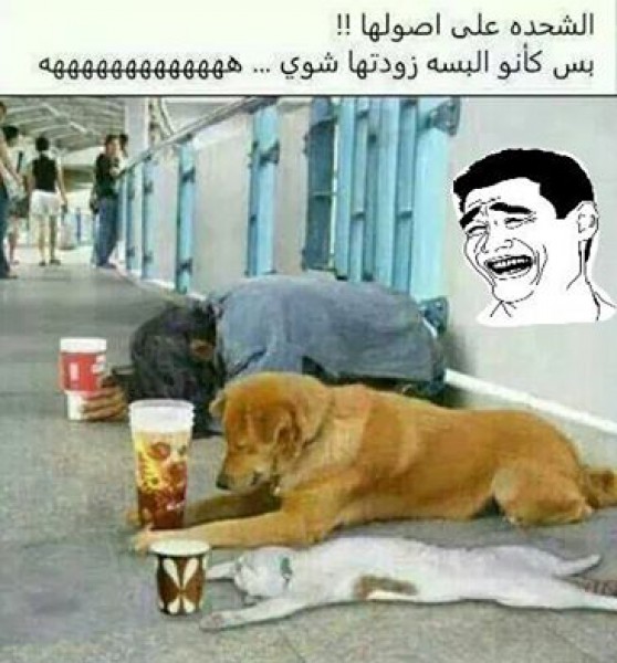 التسول