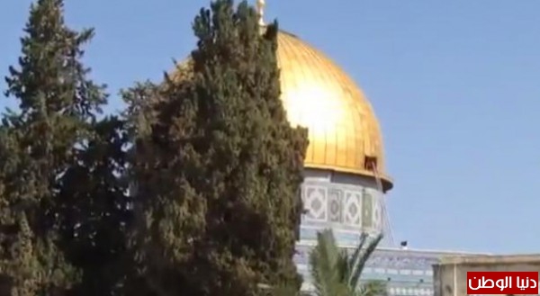 مسجد قبة الصخر صباح اليوم