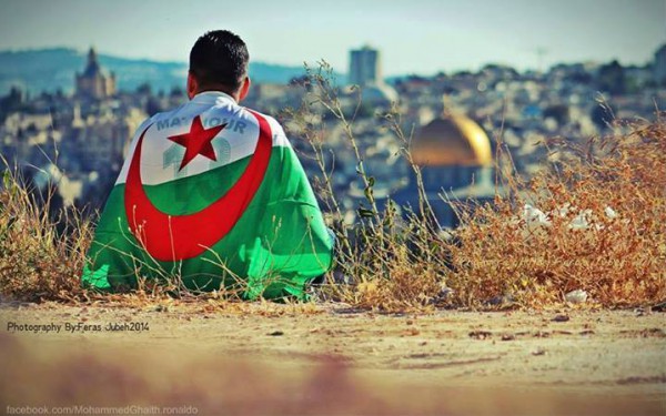 #شجع_الجزائر