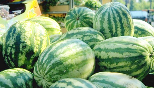 خالد منصور : 150 مليون شيكل حجم مبيعات البطيخ الإسرائيلي في ألاسواق الفلسطينية