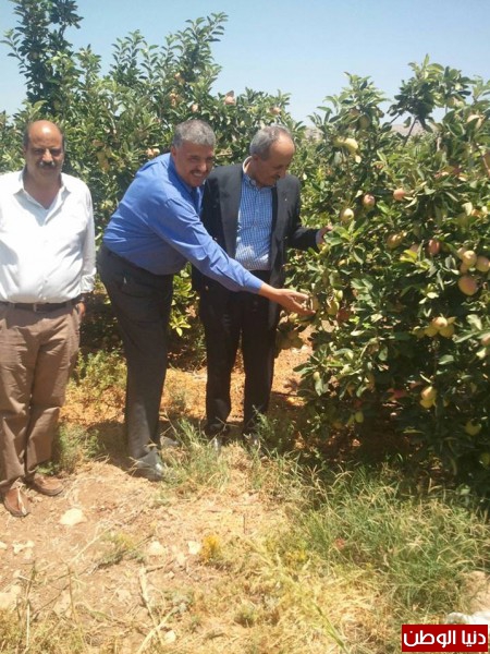 وفد من حماية المستهلك والراصد الاقتصادي يزورا مزارع التفاح ويؤكدان على محاربة التهريب