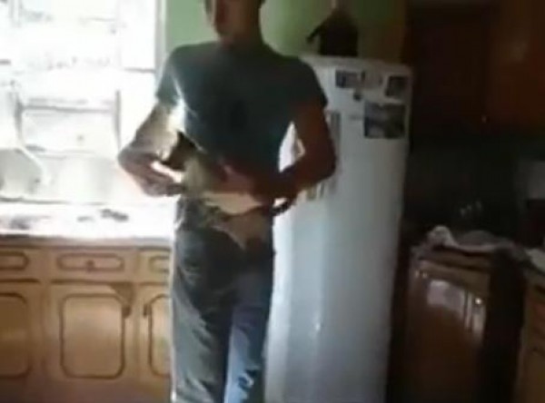 قط يعشق الحليب