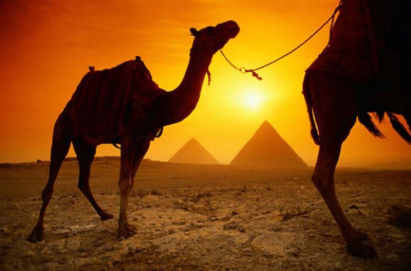 جولة في مصر