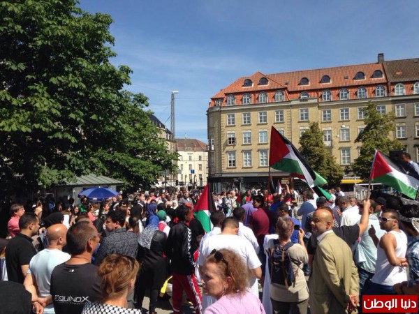 وقفة تضامنية في مدينة أورهوس الدنمركية تنديدا بالعدوان الإسرائيلي على قطاع غزة