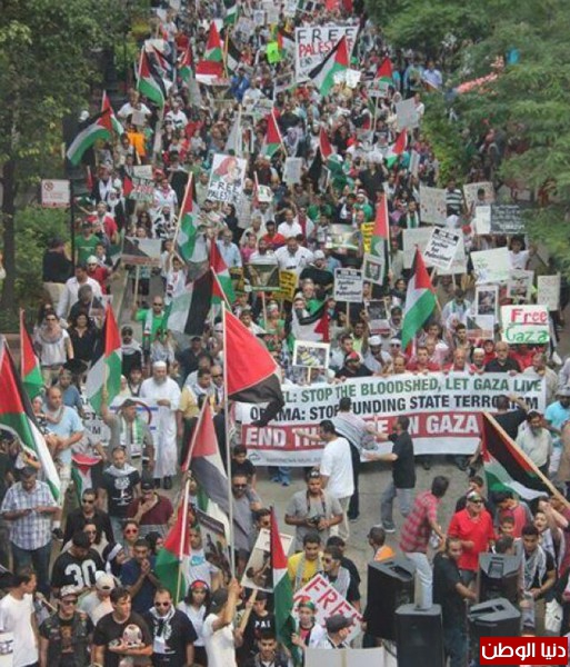 وقفات تضامنية ومسيرات حاشدة في 27 ولاية أمريكية تنديدا بالعدوان الاسرائيلي على غزة