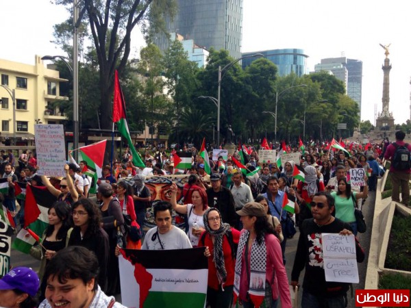 مظاهرة حاشدة في العاصمة المكسيكية تضامنا مع غزة
