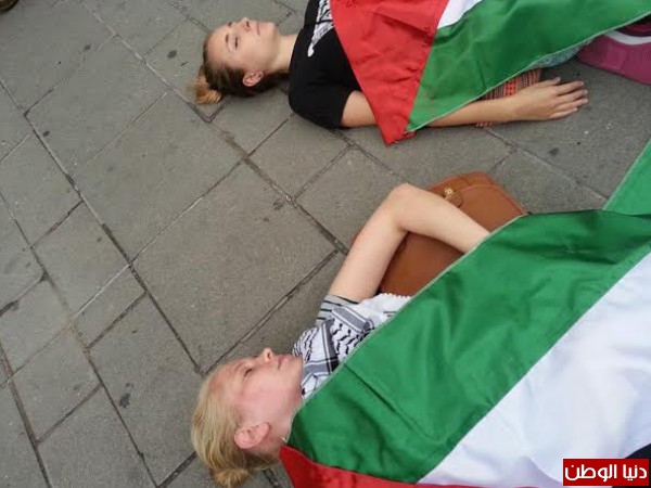 تضامنا مع غزة..هذا مايحدث فى فيينا