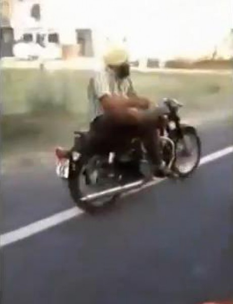فقط في الهند...القيادة بالطريقة الخاصة