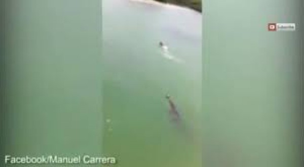 بالفيديو: سائح ينقذ شاباً من فكي تمساح بطريقة مبتكرة