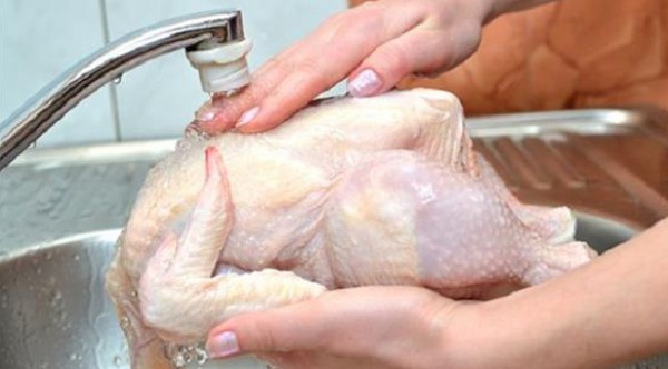 غسل الدجاج بالصنبور يسبب التسمم الغذائي