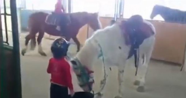 شاهد طفل يركب حصان بطريقة ذكية