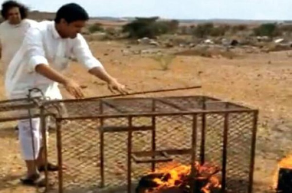 فيديو مؤلم : شباب سعوديون يحرقون ثعلباً عقاباً على التهامه 30 دجاجة