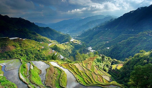 مُدرجات مزارع الأرز في الفلبين: أعجوبة الدنيا الثامنة