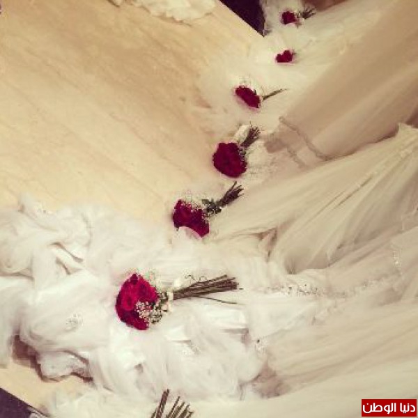 حفل الزفاف الأكبر في الوطن العربي .. زفاف 600 عروس في مبادرة فريدة من نوعها