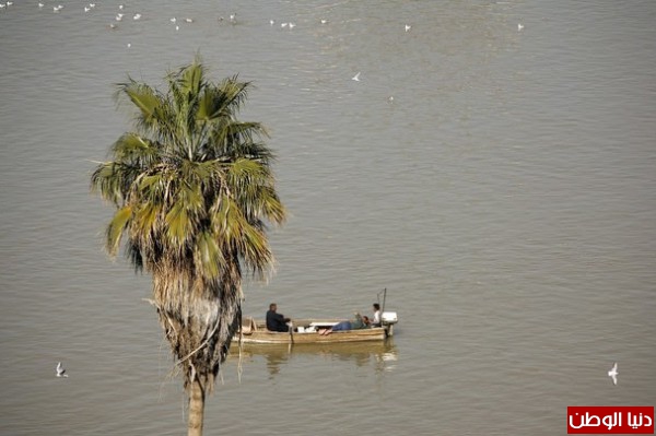 شاهد بالصور والفيديو .. سيجف بعد عقدين : أسماك نهر دجلة في العراق وأشهر الأكلات