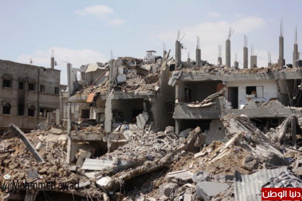 محمد مصطفى يكشف فحوى خطة سيري لإعادة إعمار قطاع غزة