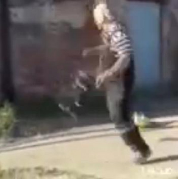 بطة تهاجم شخص بشراسة بعد تعرضه لأبنائها
