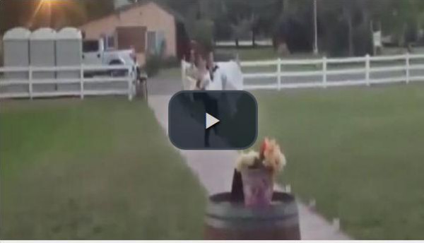 بالفيديو.. لحظة "مؤلمة" للعروسين في ليلة الزفاف
