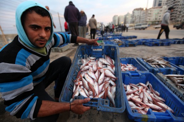 اسرائيل تسمح بتصدير السمك الى الضفة