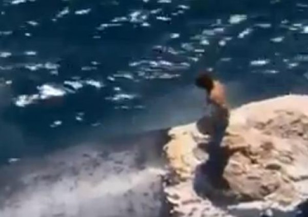 رجل ينجو بأعجوبة من أسماك قرش بعد الإبحار على ظهر حوت