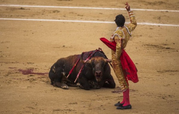 لقطات نادرة ومثيرة للعبة صراع الثيران في اسبانيا