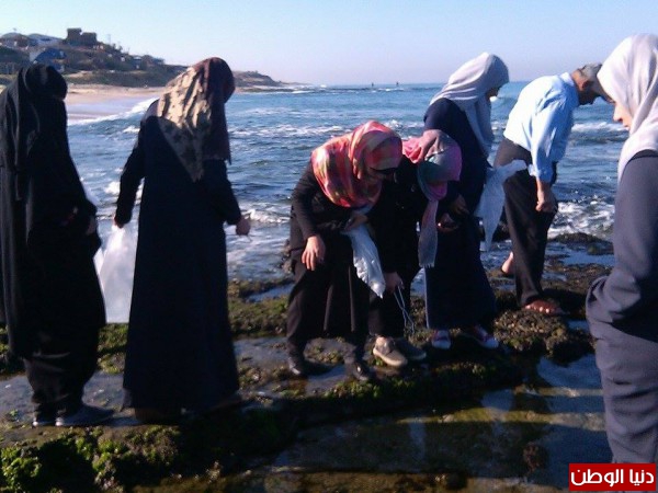 قسم الأحياء بالجامعة الإسلامية بغزة ينظم رحلة علمية لدراسة اللافقاريات البحرية دنيا الوطن