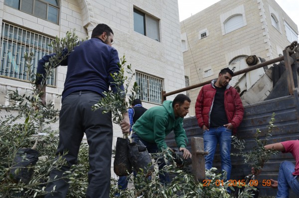 مديرية زراعة القدس توزع مجموعة من الاشتال ضمن مشروع "تخضير فلسطين"