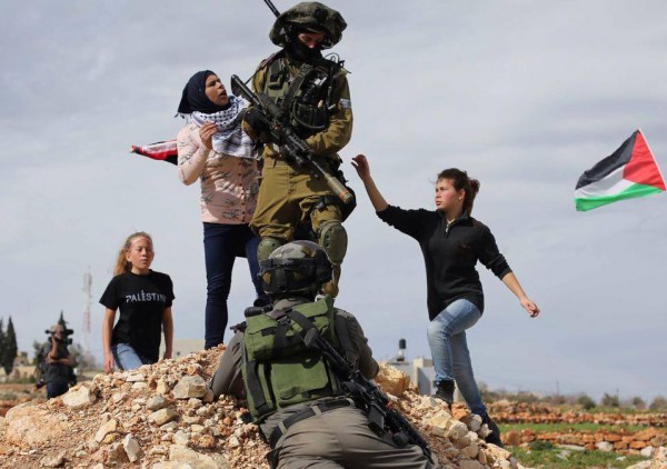 الجميلات هن الفلسطينيات