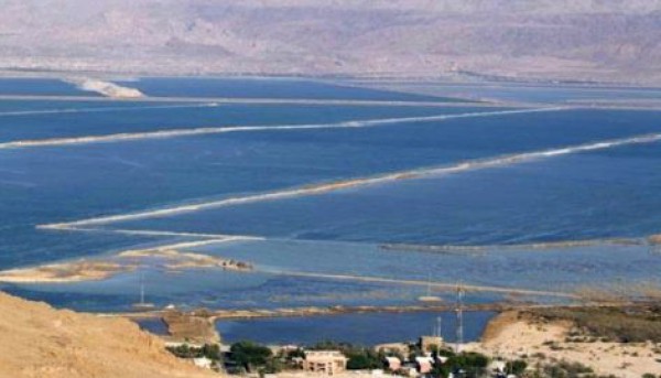 تقرير..غالبية اللاجئين في العالم هم من المواطنين العرب