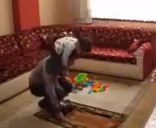 برأة الأطفال أثناء الصلاة