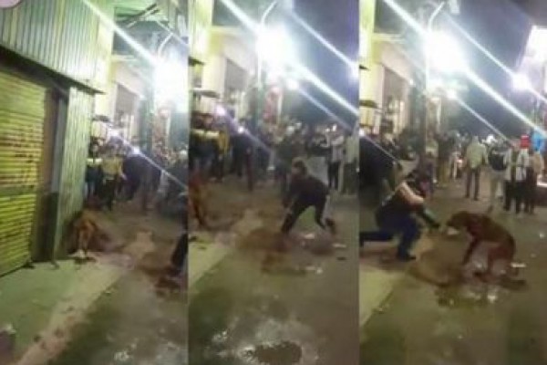 بالفيديو:ذبح كلب بالشارع يثير غضب المصريين على مواقع التواصل