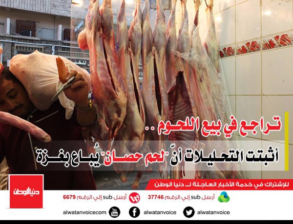 تراجع في بيع اللحوم .. الاقتصاد بغزة : أثبتت التحليلات أنّ "لحم حصان" يُباع بغزة