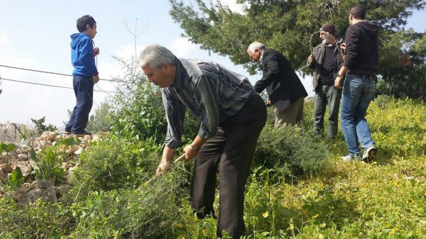 حركة فتح في رافات تنظم عملاً تطوعياً لتنظيف مقابر البلدة