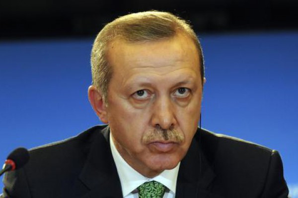 تغريم أردوغان "لإهانته" عملا فنيا يدعو للسلام