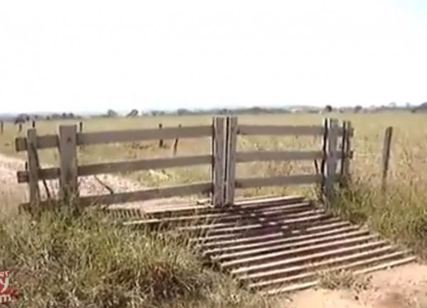 الجسر السحري