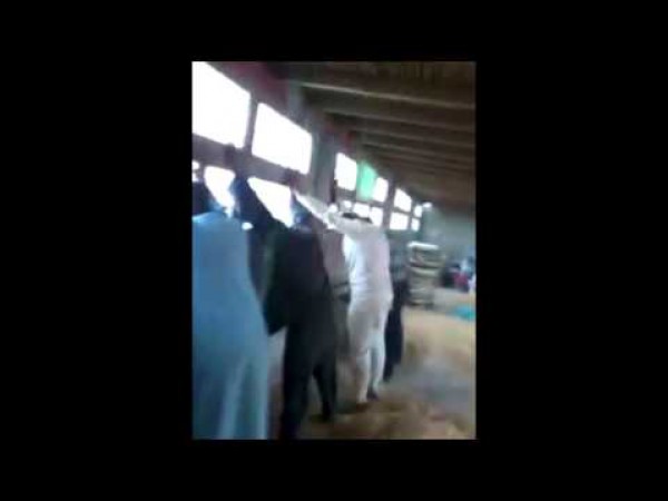 بعد بث فيديو "التحرش بمتهمات" إحالة نقيب و4 امناء شرطة بالدقهلية للتحقيق
