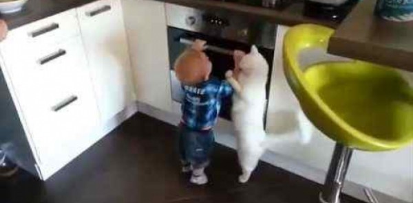 قطة تحمي طفلا صغيرا من موقد ساخن