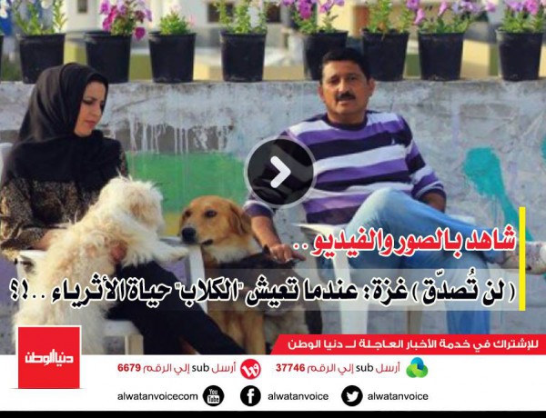 شاهد بالصور والفيديو ..(لن تُصدّق) غزة: عندما تعيش "الكلاب" حياة الأثرياء ..!؟