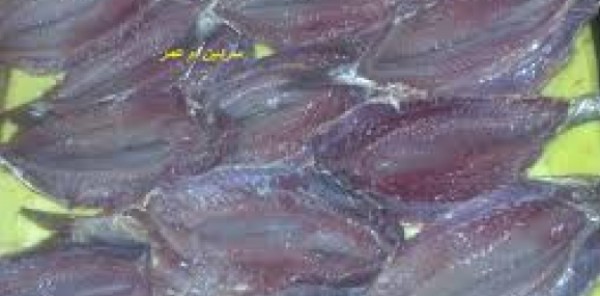 خبير طبي يّحذر مرضى الكبد : لو أكلت فسيخ هتموت