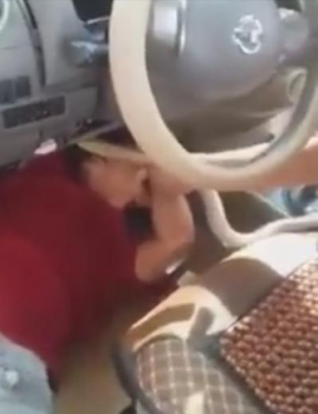 إخراج أفعى كبيرة من داخل سيارة