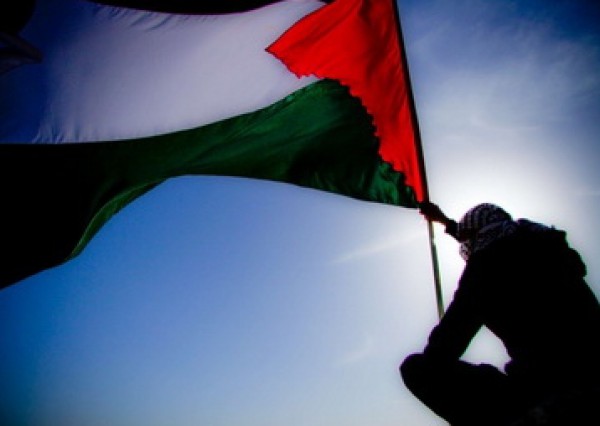 لا تجعلوا فلسطين شماعة لأهوائكم