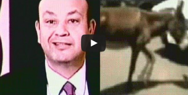 عمرو أديب عن ظهور حمار فى المطار : ده مش حمار ده "سيسي"