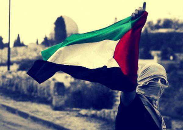 هنا فلسطين