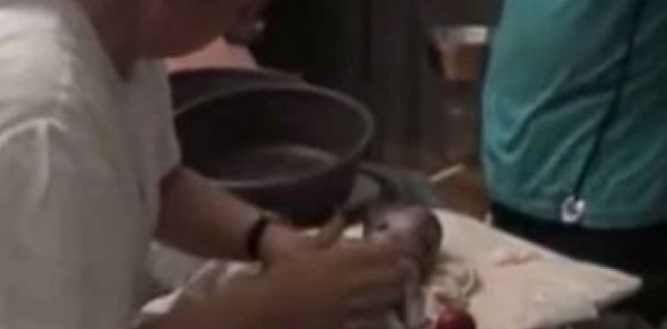 بالفيديو: "الممرضة المعجزة" تنقذ مولودا شبه ميت