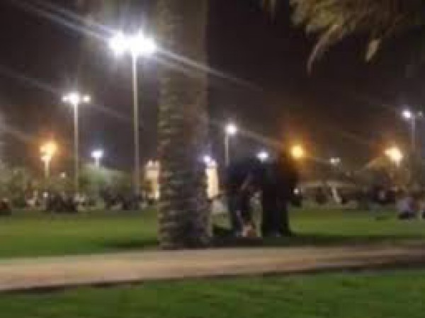 بالفيديو: رجل يصلي وراء امرأة في حديقة عامة