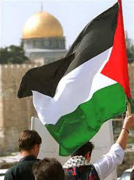 من اين انت من فلسطين