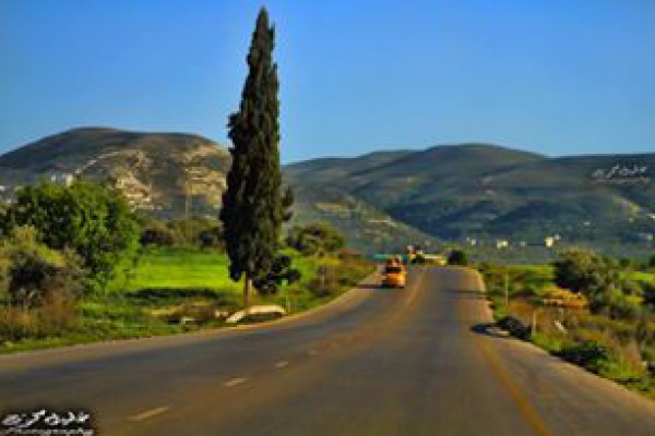 صباح الخير من نابلس