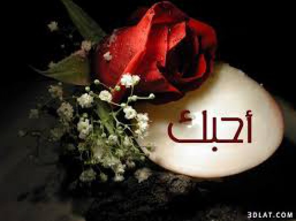 إحترنا في كلمة "أحبك" !