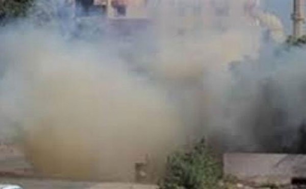 مصر -  مجهولون يفجرون مدرسة وعمارة سكنية بالشيخ زويد